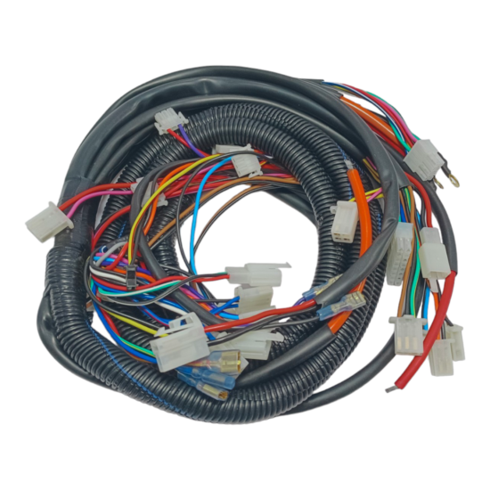 Main Wiring Harness