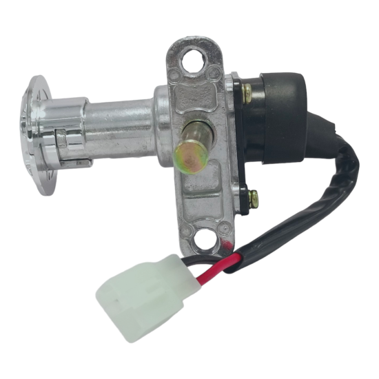 Steering Lock Assembly