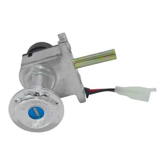 Steering Lock Assembly view 2